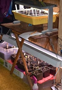 “Starting Seeds” Feb 25 by Kathy Fruth & Colene Koehler, Master&nbsp;Gardeners